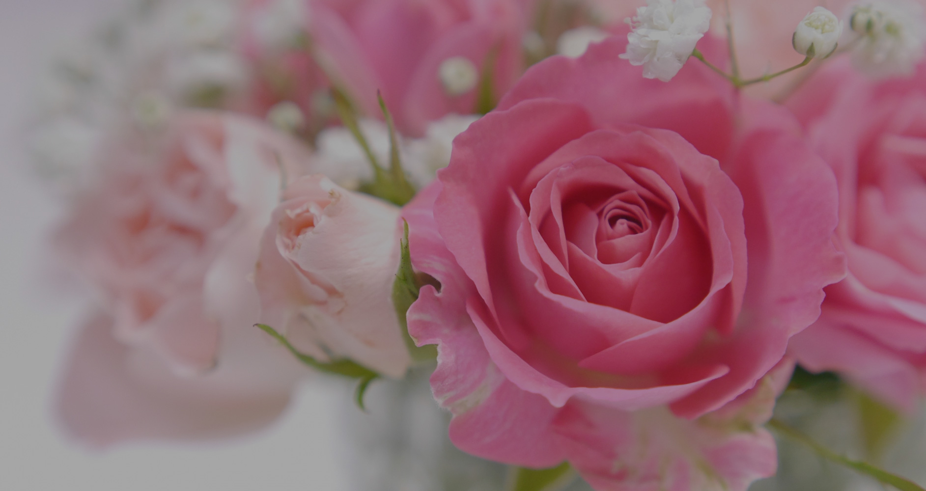 記念日をお祝いしたい