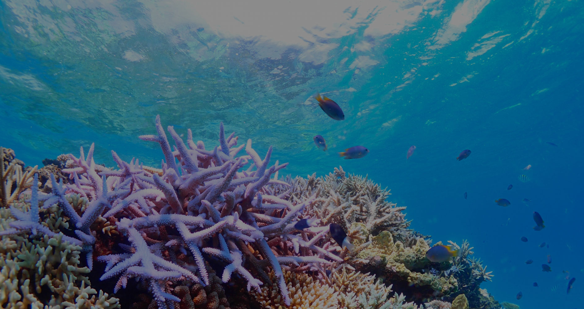 沖縄旅行を満喫したい